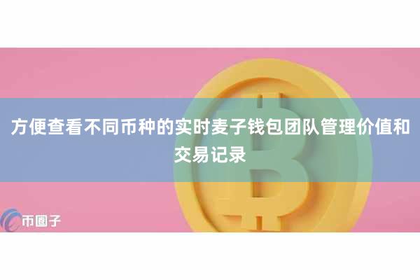 方便查看不同币种的实时麦子钱包团队管理价值和交易记录