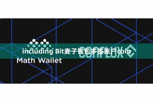 including Bit麦子钱包多签账户coin