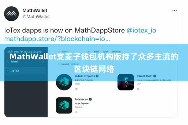 MathWallet支麦子钱包机构版持了众多主流的区块链网络