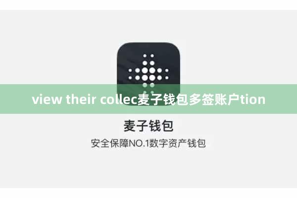view their collec麦子钱包多签账户tion