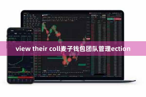 view their coll麦子钱包团队管理ection