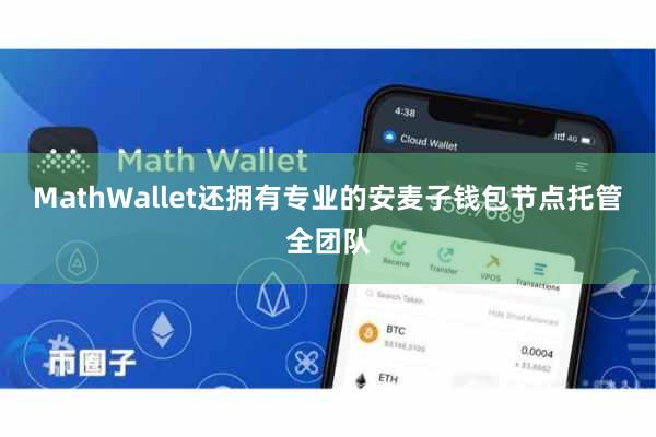 MathWallet还拥有专业的安麦子钱包节点托管全团队