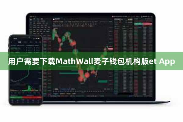 用户需要下载MathWall麦子钱包机构版et App