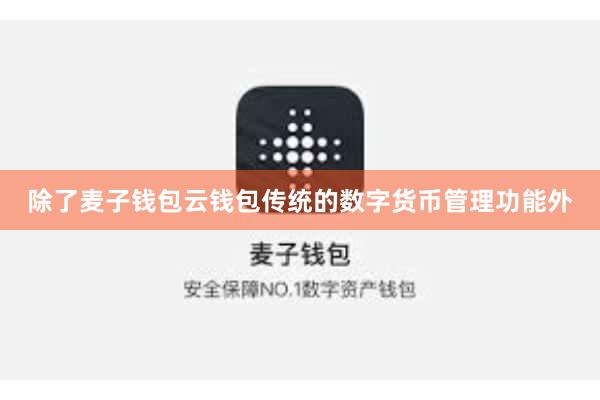 除了麦子钱包云钱包传统的数字货币管理功能外