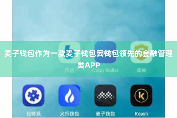 麦子钱包作为一款麦子钱包云钱包领先的金融管理类APP