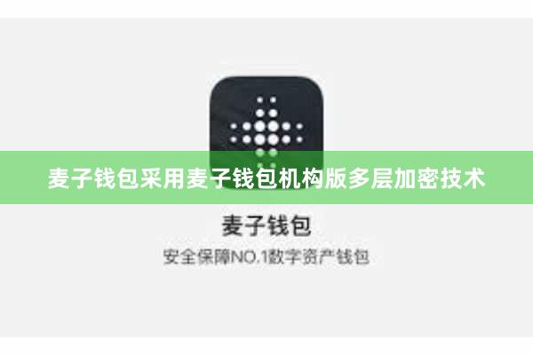 麦子钱包采用麦子钱包机构版多层加密技术