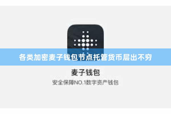 各类加密麦子钱包节点托管货币层出不穷