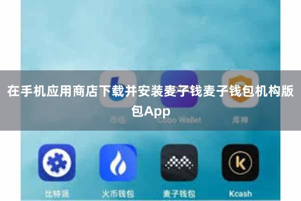 在手机应用商店下载并安装麦子钱麦子钱包机构版包App