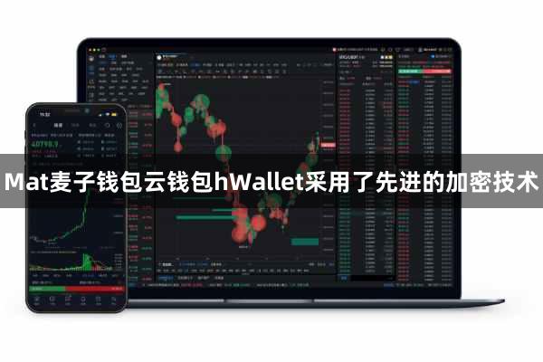 Mat麦子钱包云钱包hWallet采用了先进的加密技术
